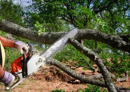 Best Hedge Trimming  in Melvindale, MI